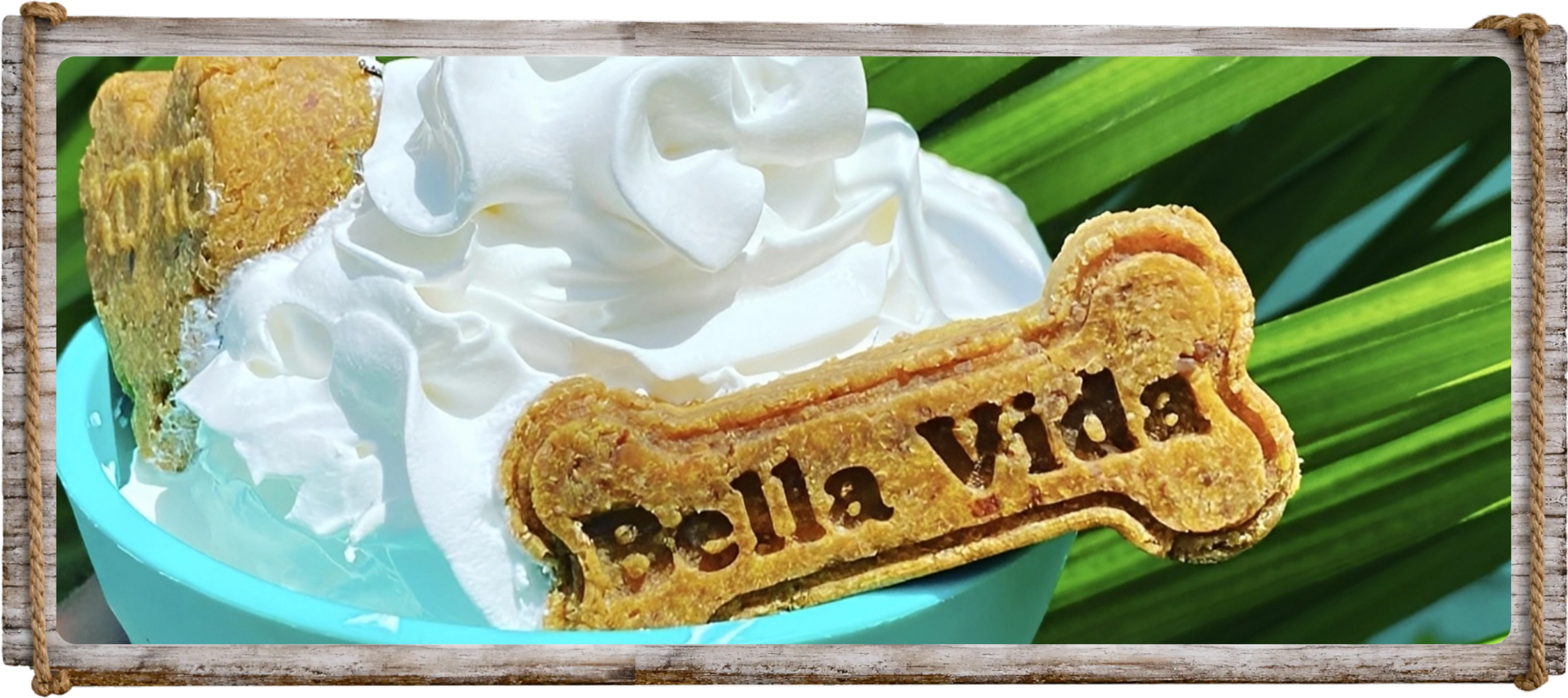 Bella Vida Cafe