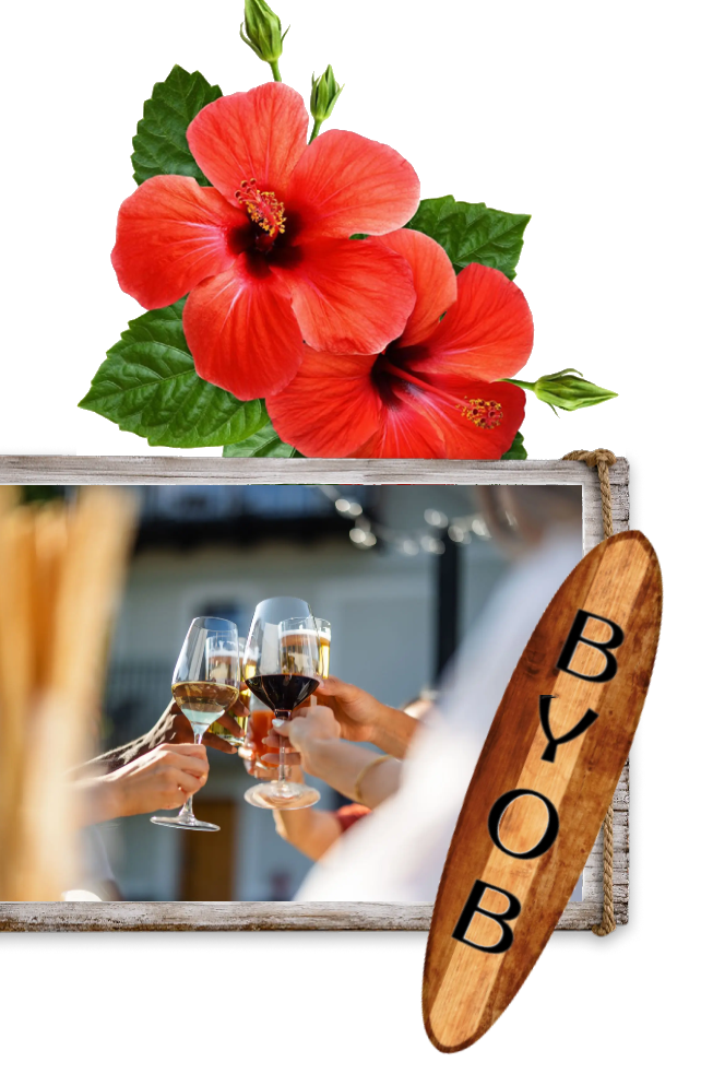 People toasting with wine glasses at a BYOB event.