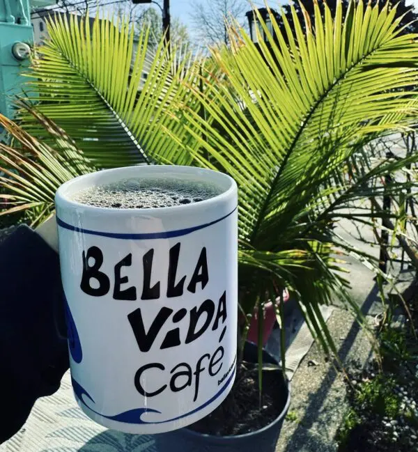Bella Vida Cafe mug with palm fronds