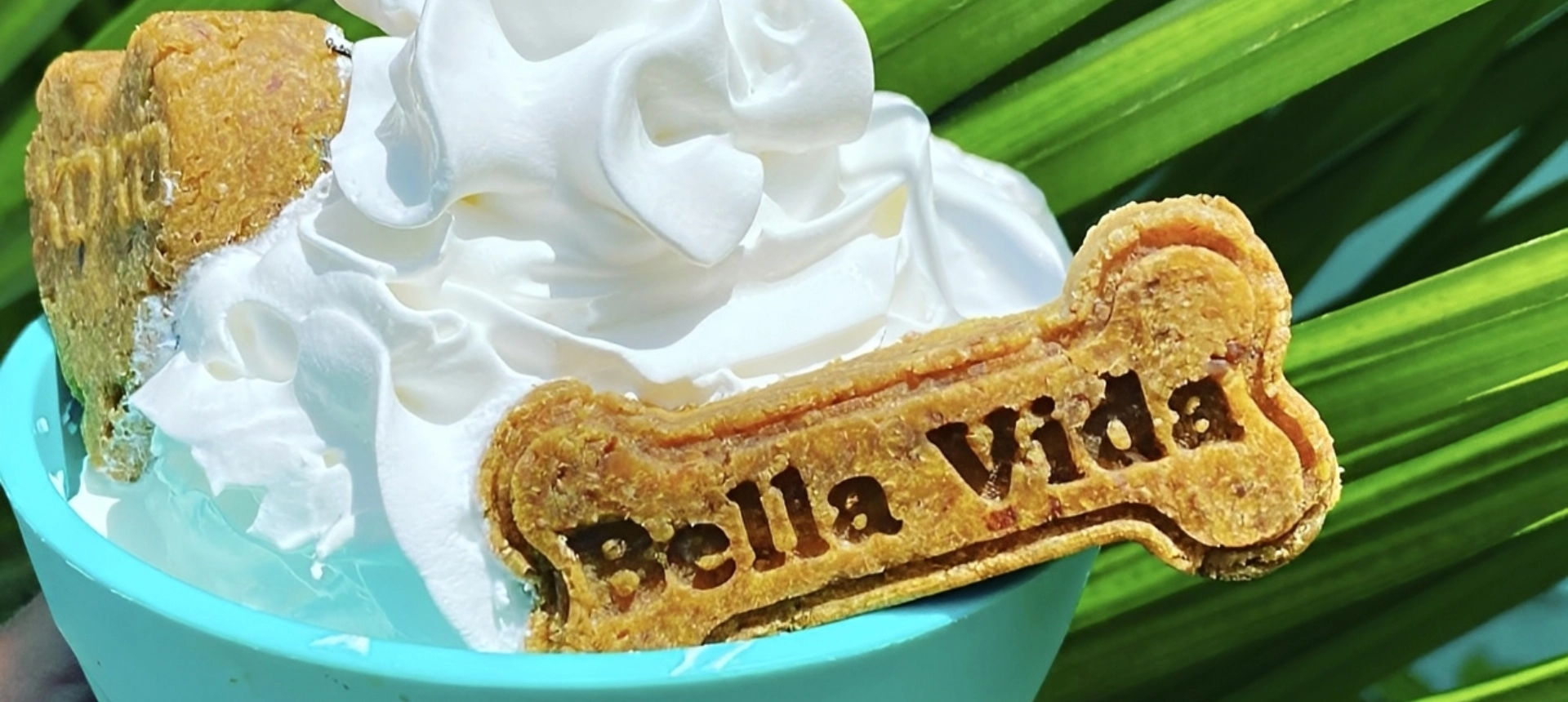 A dessert topped with whipped cream and a cookie labeled 'Bella Vita'.